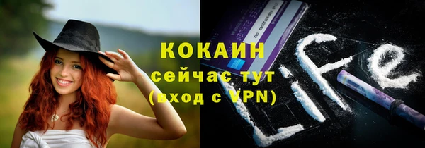 ГАЛЛЮЦИНОГЕННЫЕ ГРИБЫ Белоозёрский