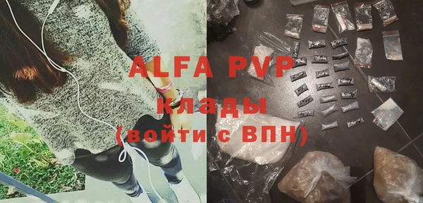 гашик Богородск