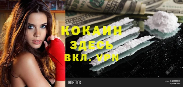 дживик Богородицк