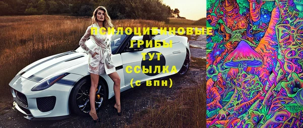 дмт Беломорск