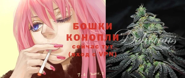 ГАЛЛЮЦИНОГЕННЫЕ ГРИБЫ Белоозёрский