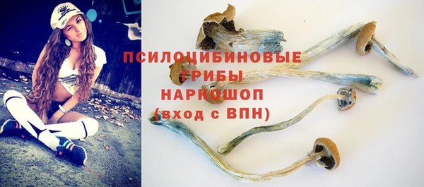 гашик Белокуриха